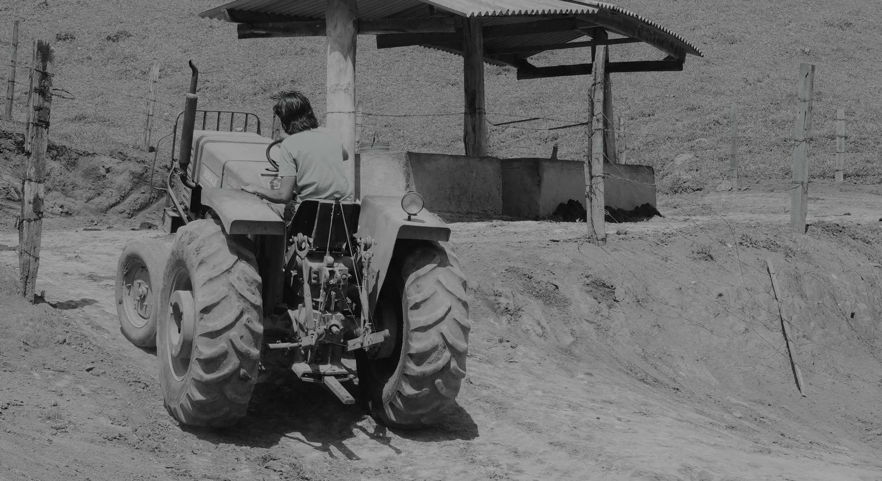 Trabalhador rural dirige um trator por um caminho de terra, em foto preto e branco