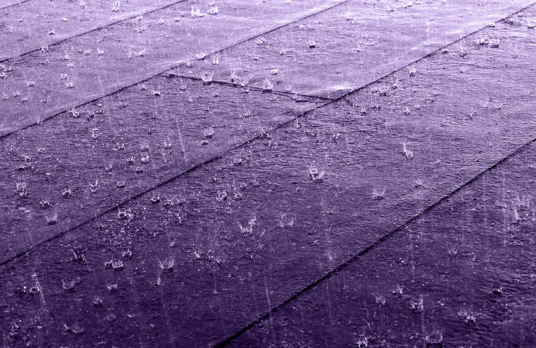 Hard rain on a roof covered with felt and tar paper in Gåseberg, Lysekil Municipality, Sweden. The black and white version has been altered using a monochrome purple filter. The color chosen is the Pantone color "Love symbol #2" that the Pantone Color Institute introduced to honor Prince (musician) .