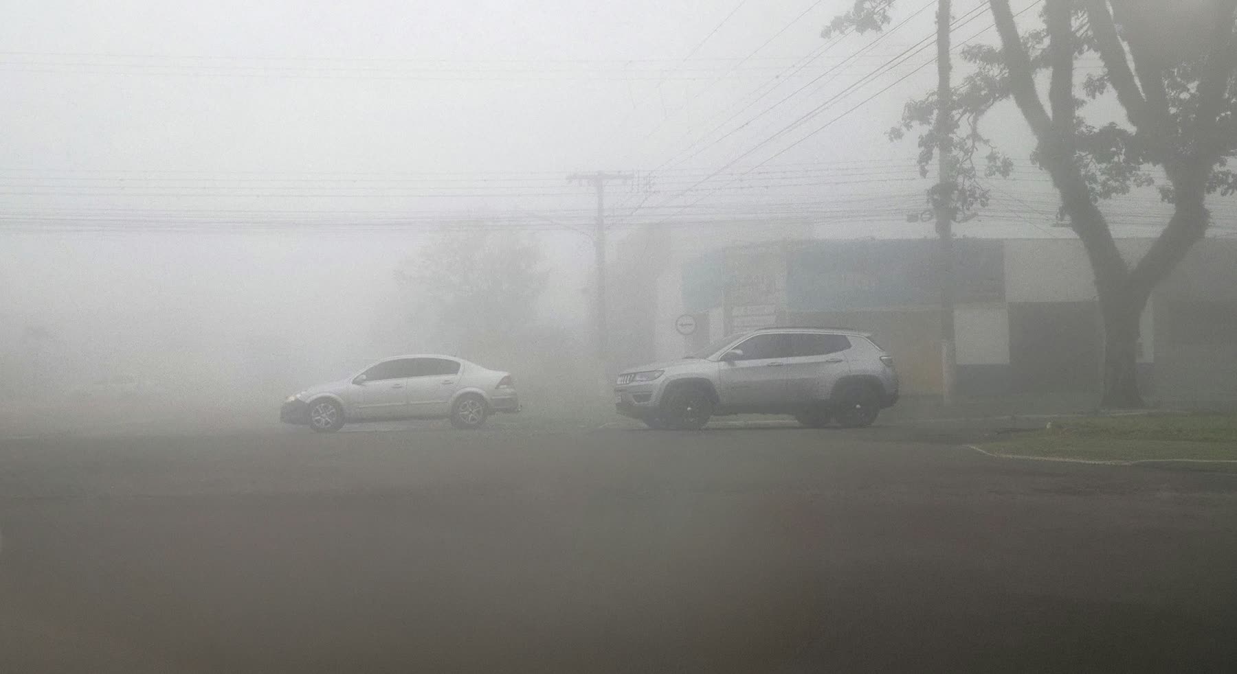 Calle cubierta por la niebla, con dos autos detenidos al costado de la vía