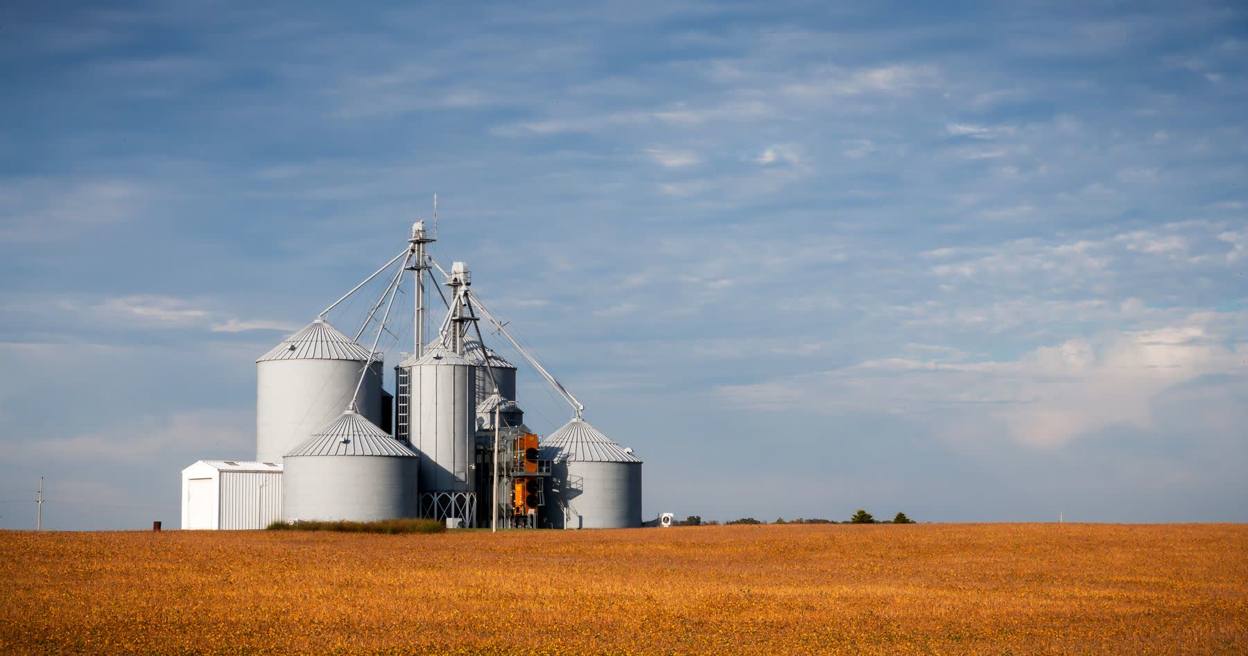 Conjunto de silos metálicos de armazenagem ao lado de um campo de lavoura dourada, sob céu azul com nuvens finas