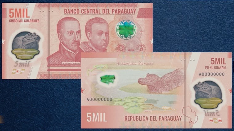 Frente e verso da nota de ₲ 5 mil em tons de rosa e salmão: na frente, os retratos de San Roque González de Santacruz e Juan Bernardo Colmán e um jacaré sobre plantas aquáticas; no verso, a ecorregião Ñeembucú com um jacaré, uma rã verde e vitórias-régias