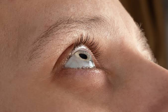 Primer plano del ojo abierto de una persona, visto de lado, con la ceja, las pestañas y el iris castaño claro enfocados
